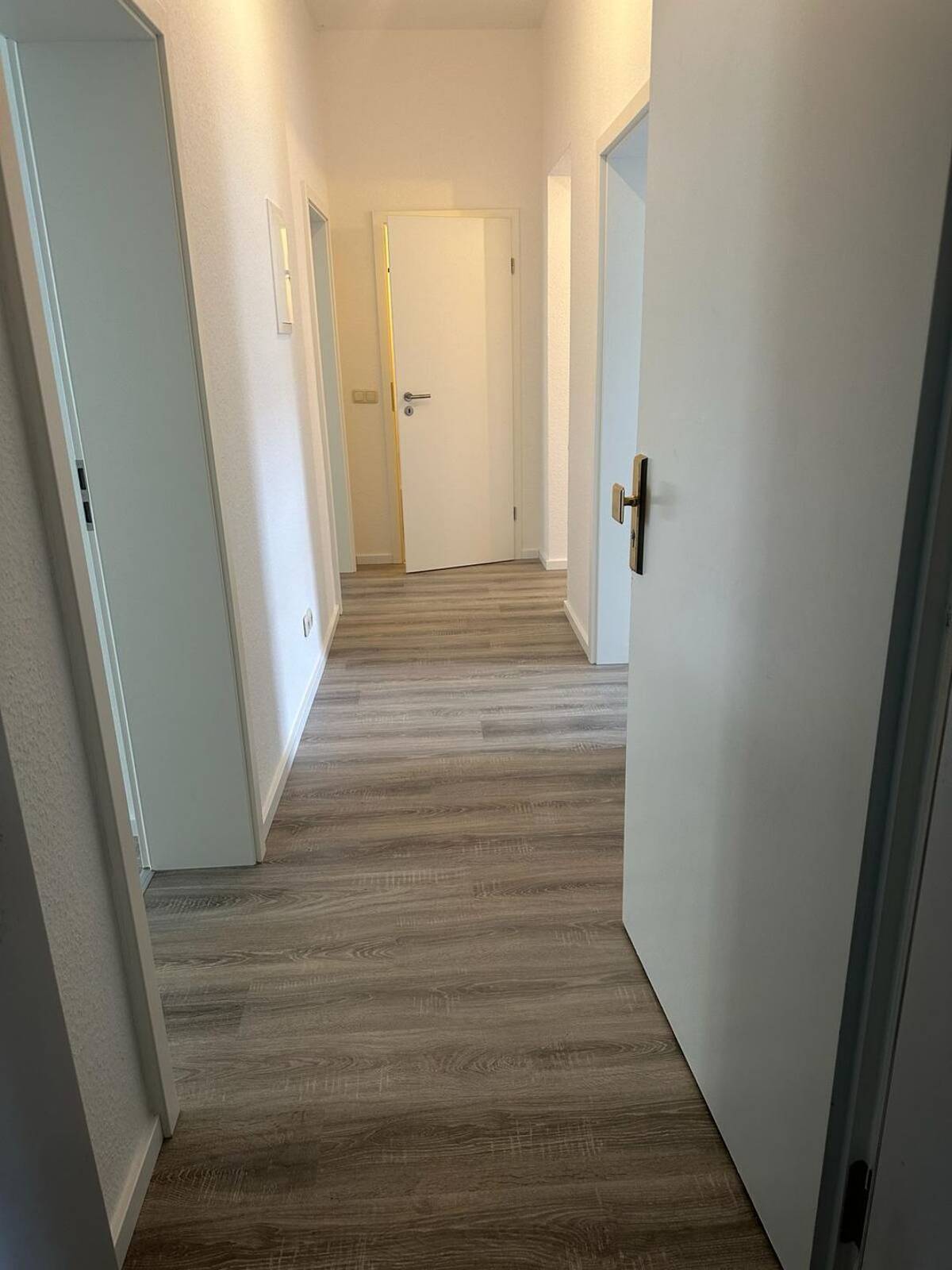 Schöne sonnige 3 Zimmerwohnung wartet auf junges Wohnen – 99085 Erfurt – Bild 1 von 6