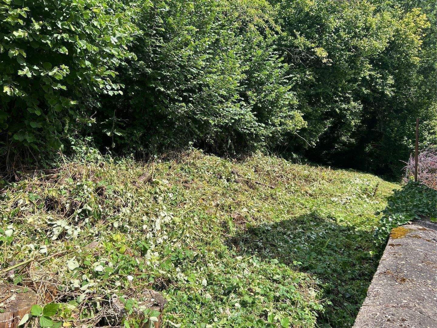 Einfamilienhaus in zentraler Lage in Thaleischweiler- Fröschen – Thaleischweiler-Fröschen – Vorschaubild 3