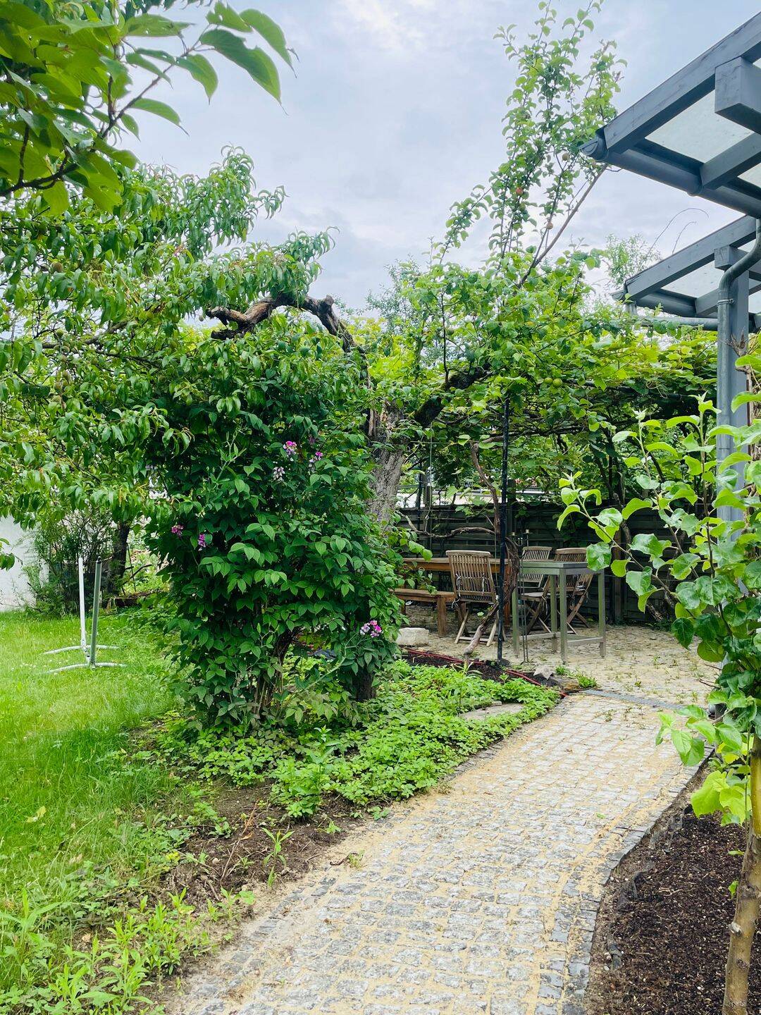 Provisionsfreie Einfamilienhaus mit große Garten in Offenbach Tempelsee ab 01.09.2026 zu vermieten – Offenbach am Main – Vorschaubild 8