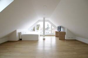*Trier-Tarforst* lichtdurchflutetes Apartment mit Loftcharakter!