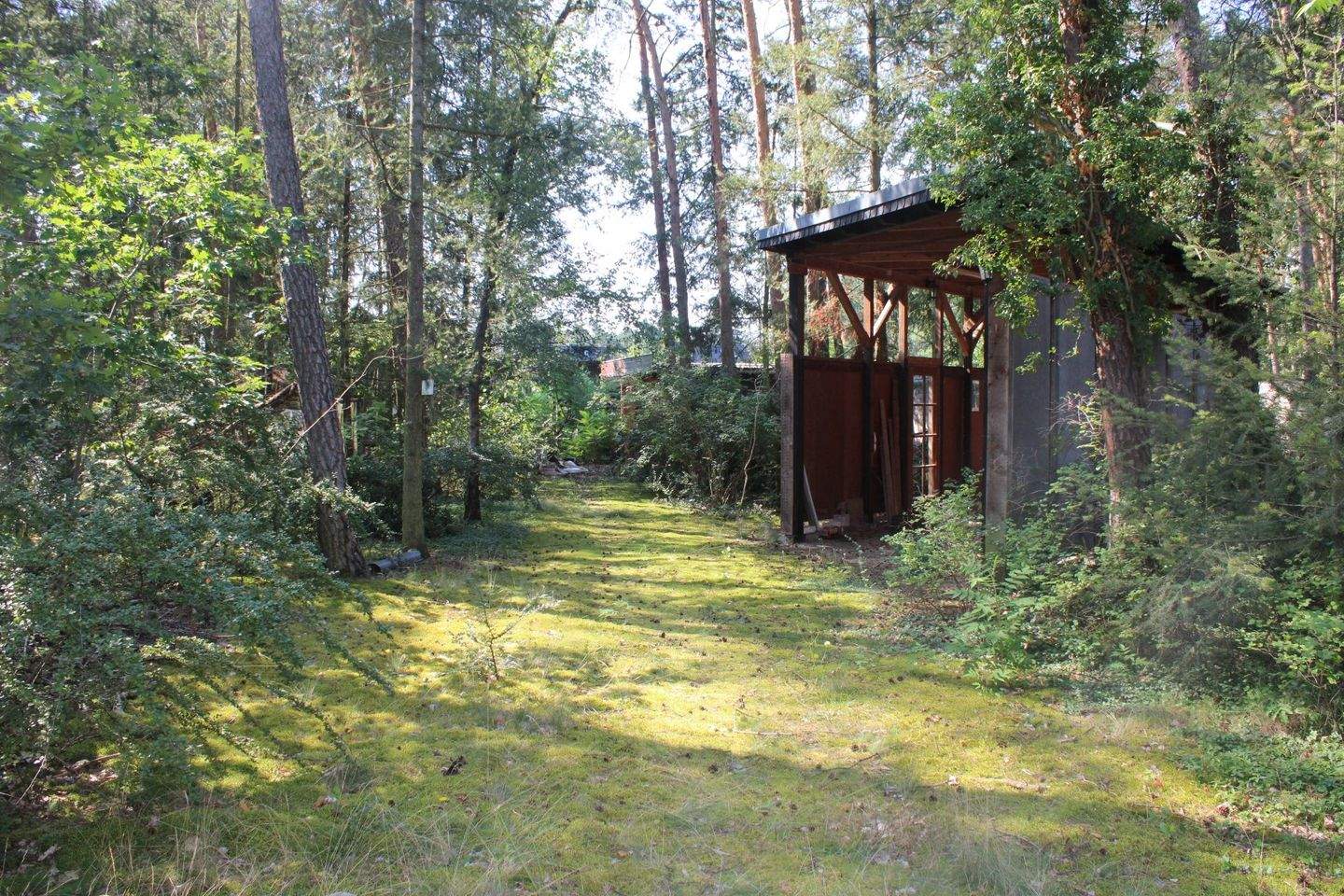 Ruhig gelegenes hübsches Haus auf großzügigem Grundstück, naturnah und am großen Zeischaer See – Bad Liebenwerda – Vorschaubild 8