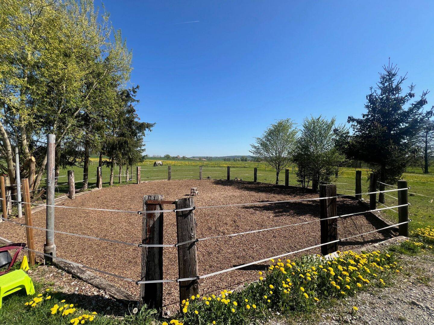 Ein Paradies für Tiere, Romantischer Reiterhof/ Bauernhof bei Schnelldorf – Schnelldorf – Vorschaubild 7