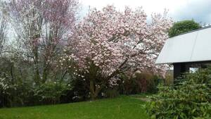 Exklusive Aussichtslage von Bad-Godesberg mit eigenem Garten – 53177 Bonn – Vorschaubild 3