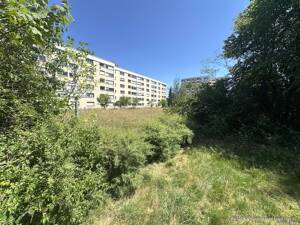 Hochparterre Wohnen im Grünen - Parkstadt Solln – 81477 München – Vorschaubild 2