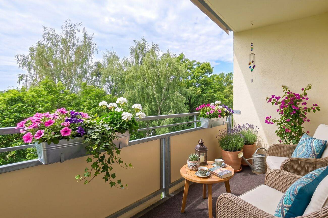 Single Traum: Frisch saniert, Einbauküche & Süd-West-Balkon – Chemnitz – Vorschaubild 7