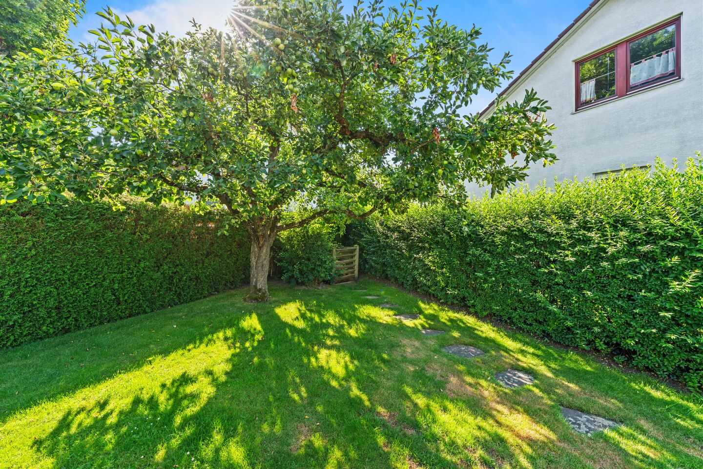 Großzügiges Einfamilienhaus mit malerischem Garten – Aulendorf – Vorschaubild 3