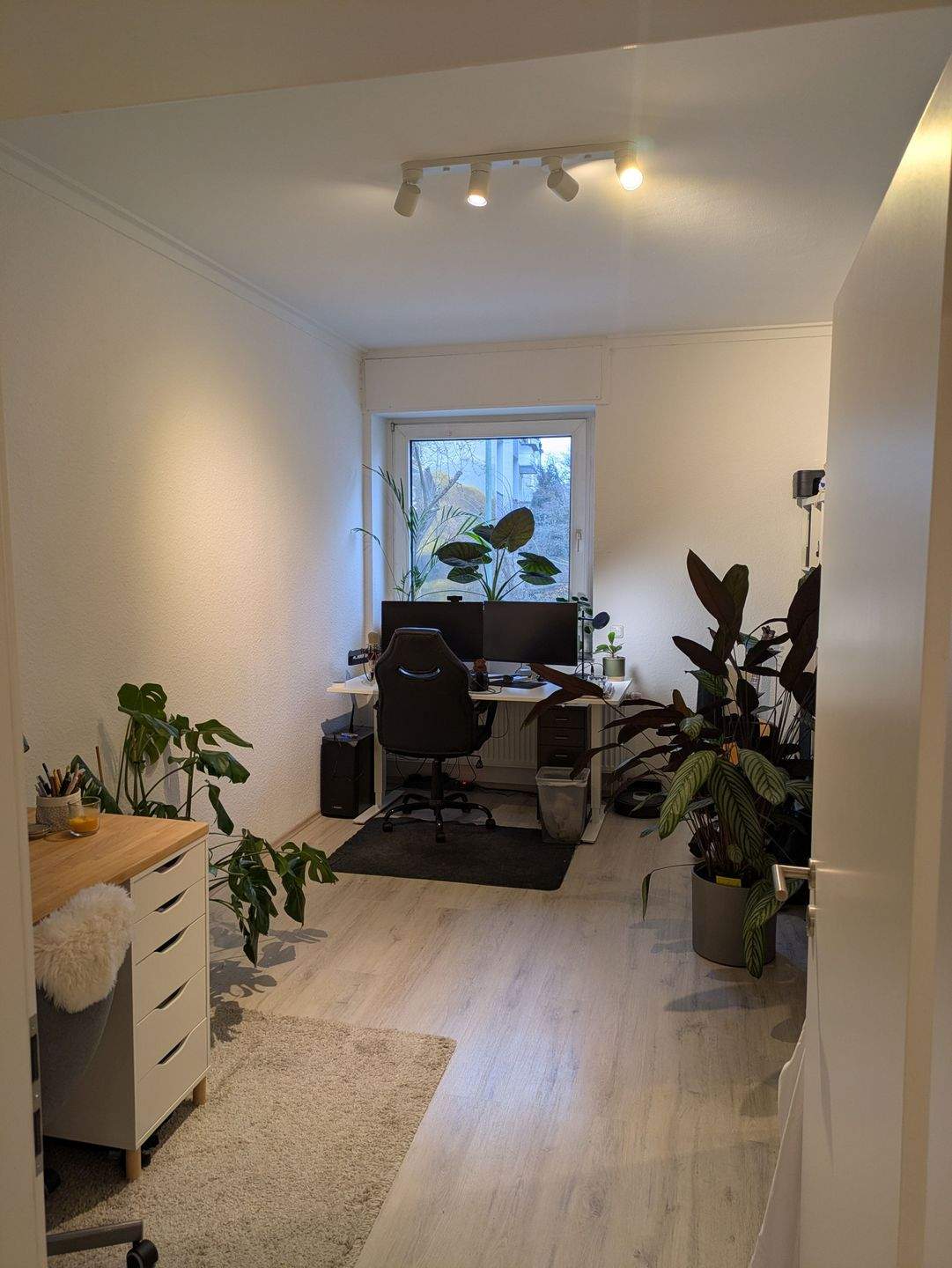 3 Zimmer Erdgeschoß Wohnung in Essen- Frohnhausen! – Essen – Vorschaubild 6