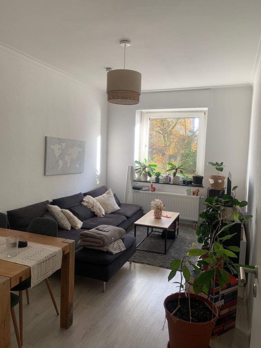3 Zimmer Erdgeschoß Wohnung in Essen- Frohnhausen! – Essen – Vorschaubild 2