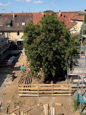 Besichtigung im kühlen Rohbau! Grüner Innenhof gegen die Hitze! – 91054 Erlangen – Vorschaubild 7