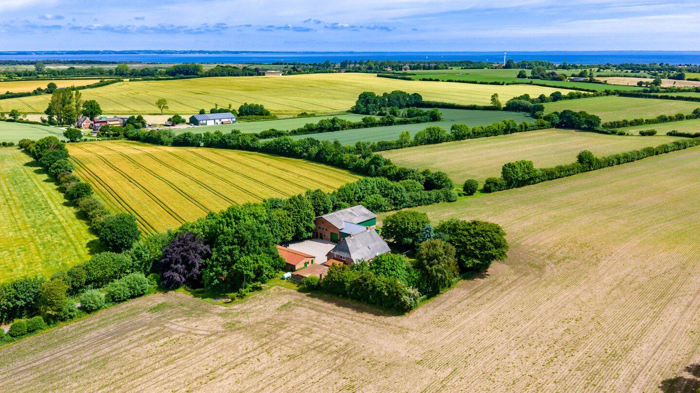 Resthof mit Land zur Pferdehaltung – Gelting – Vorschaubild 5