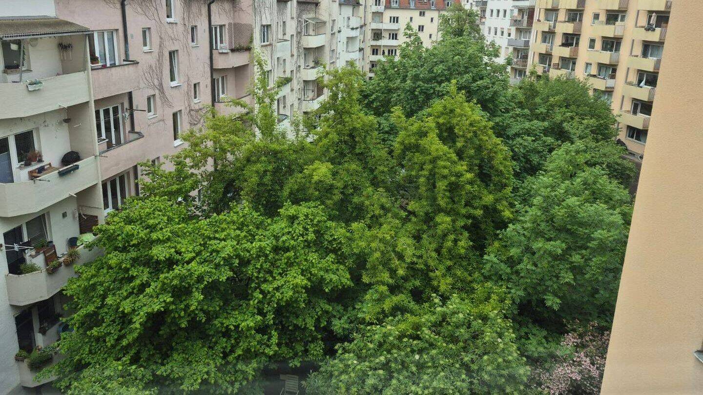 Real Schwabing, direct in Leopoldstr central but quiet, ready to move. all inclusive (Electricity also)