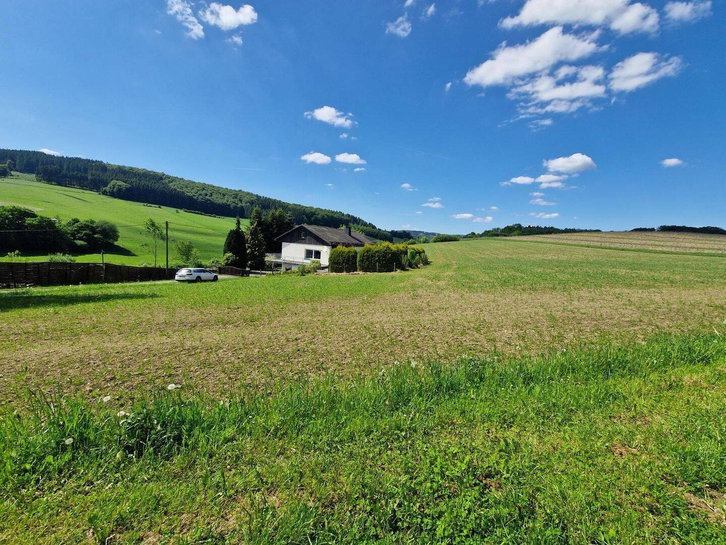 Natur pur