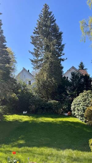 Wunderschöne Altbau-Villa in Toplage von Alt-Rahlstedt – 22143 Hamburg – Vorschaubild 3