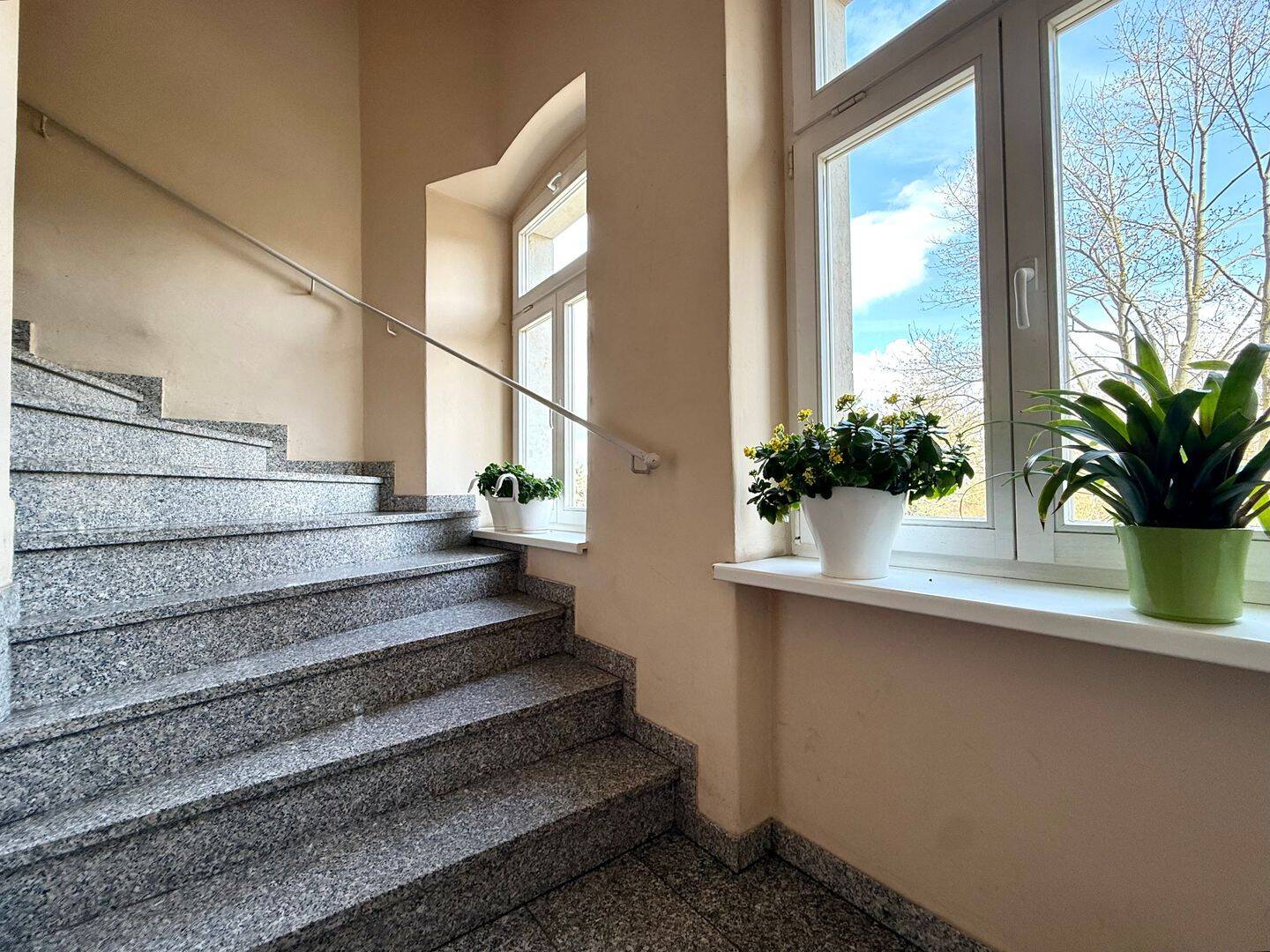 Attraktive 3-Raum-Wohnung in Uni-Nähe – Dresden – Vorschaubild 3