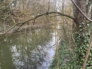 Schöne, geräumige 75m² Wohnung in MS- Wolbeck 2 Zi mit direktem Zugang zum Fluss "Angel" – 48167 Münster – Vorschaubild 2