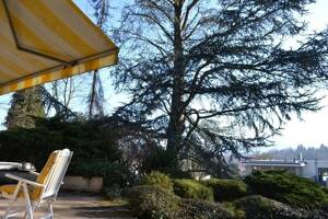 Attraktives Haus in absoluter Top Lage! – 53177 Bonn – Vorschaubild 2