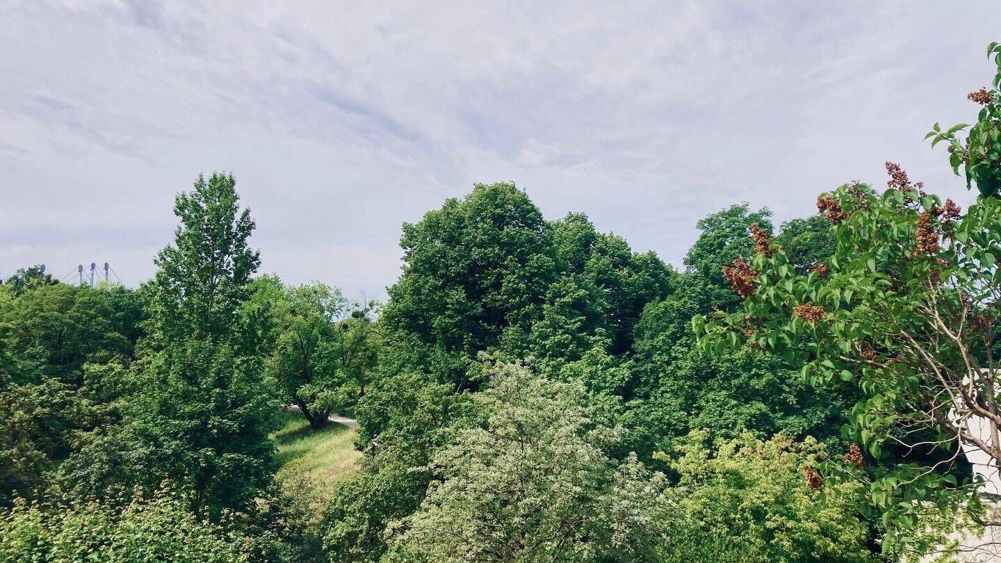 ruhiges nettes 1-Zi. -App. mit Blick in den Olympiapark am Ende der Connollystr. – München – Vorschaubild 2