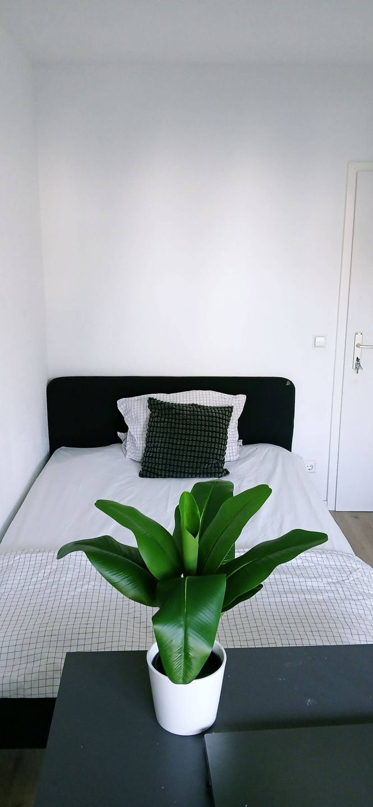 Room Available in Shared 6-Person Apartment – Frankfurt-Höchst – 65929 Frankfurt am Main – Bild 1 von 9