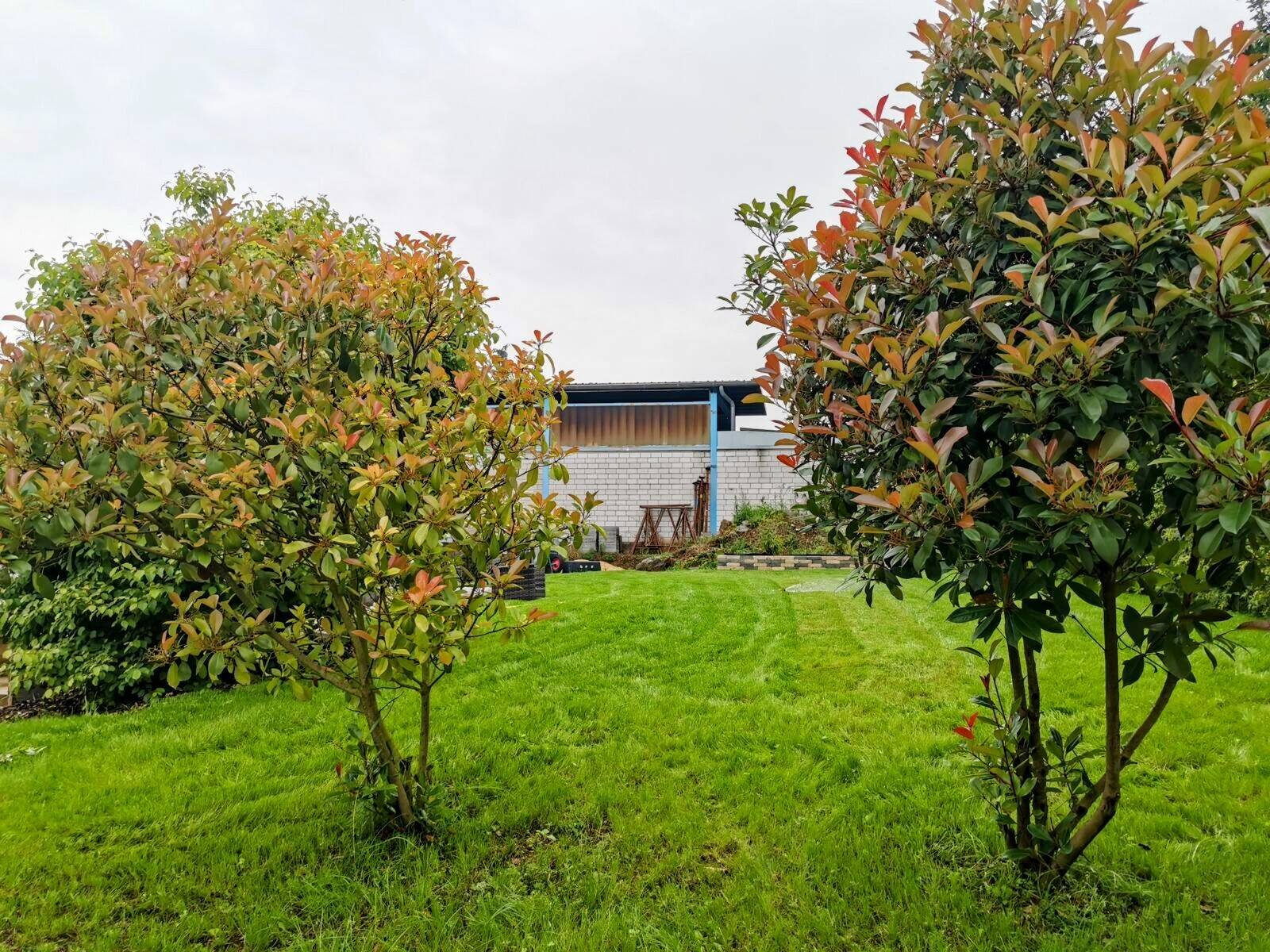 Ein Haus – 3 Wohnungen – Unendliche Möglichkeiten mitten in Ochtendung – Ochtendung – Vorschaubild 3