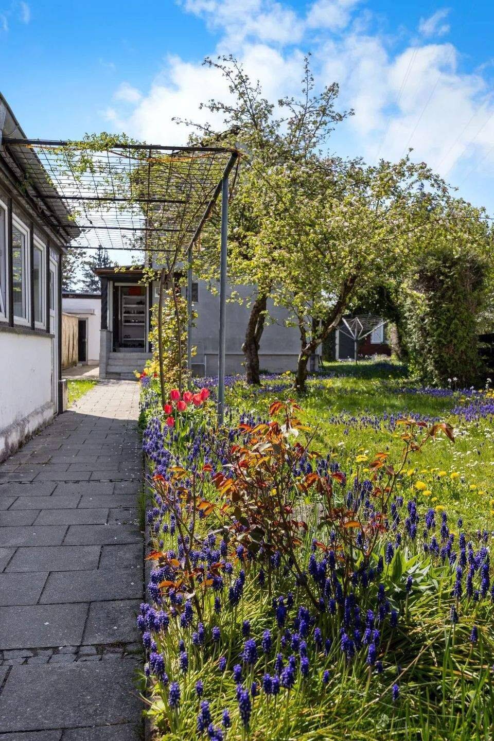 ROGERS: Untermenzing: Sonniges Grundstück in ruhiger Anliegerstraße – München – Vorschaubild 6