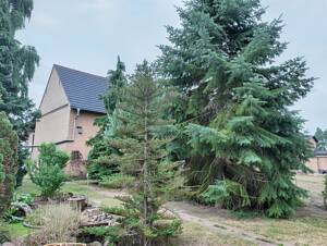 Historisches Lehmhaus mit Hofensemble auf 1.966 m² Grundstück – 4509 Wiedemar – Vorschaubild 4