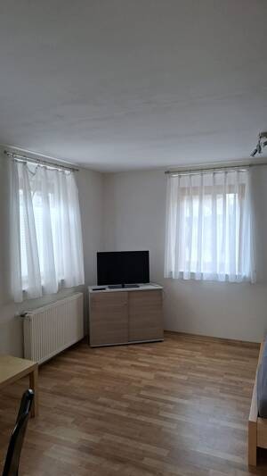 Helle Einliegerwohnung – 69151 Neckargemünd – Vorschaubild 4