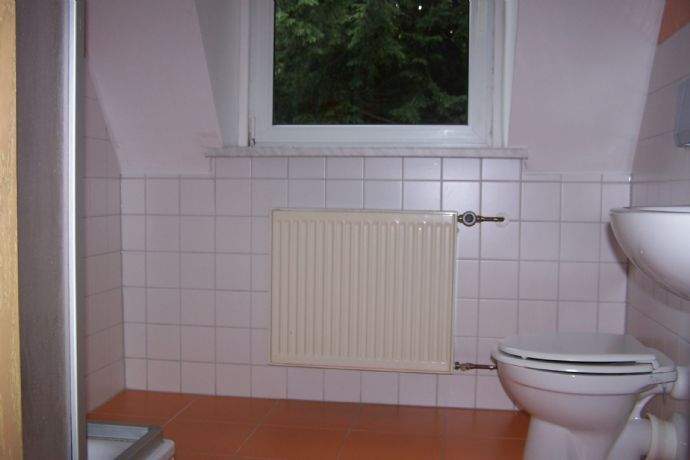IHRE Dachgeschoss-Wohnung im Zeisigwald erwartet SIE ! – Chemnitz – Vorschaubild 6
