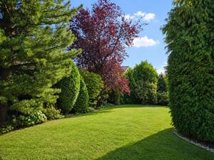 Großzügiges Einfamilienhaus mit Garten in Münster - Hiltrup – 48165 Münster – Vorschaubild 8