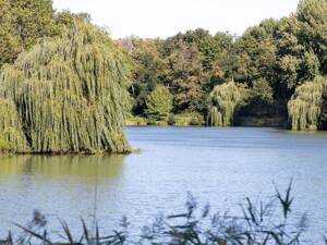 Wohnen de luxe nahe Lietzensee – 5 Zimmer, 2 Bäder – 14057 Berlin – Vorschaubild 5