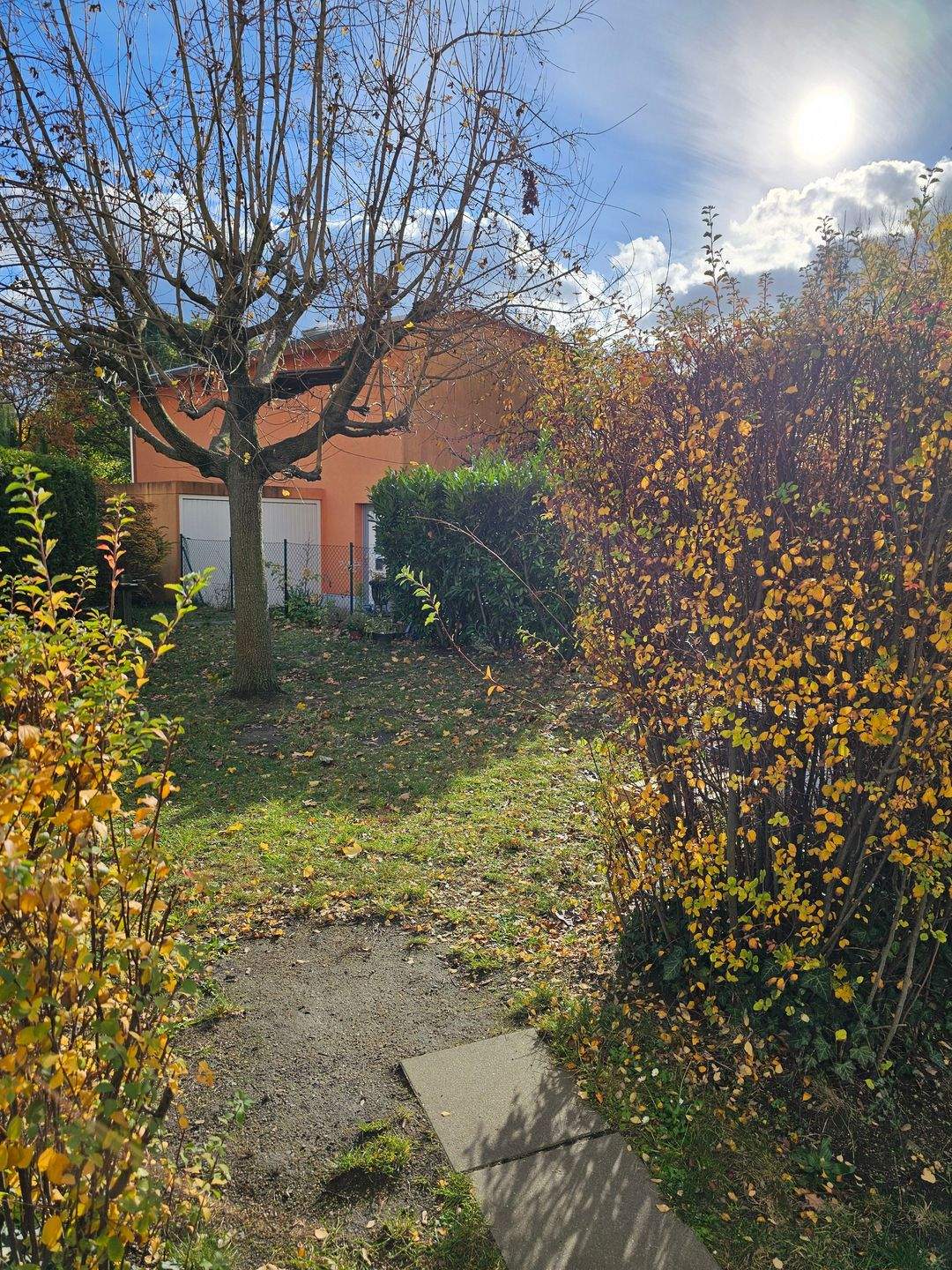 gepflegte 2 Raum Wohnung in bester Lage Dresden-Blasewitz RESERVIERT ! – Dresden – Vorschaubild 4