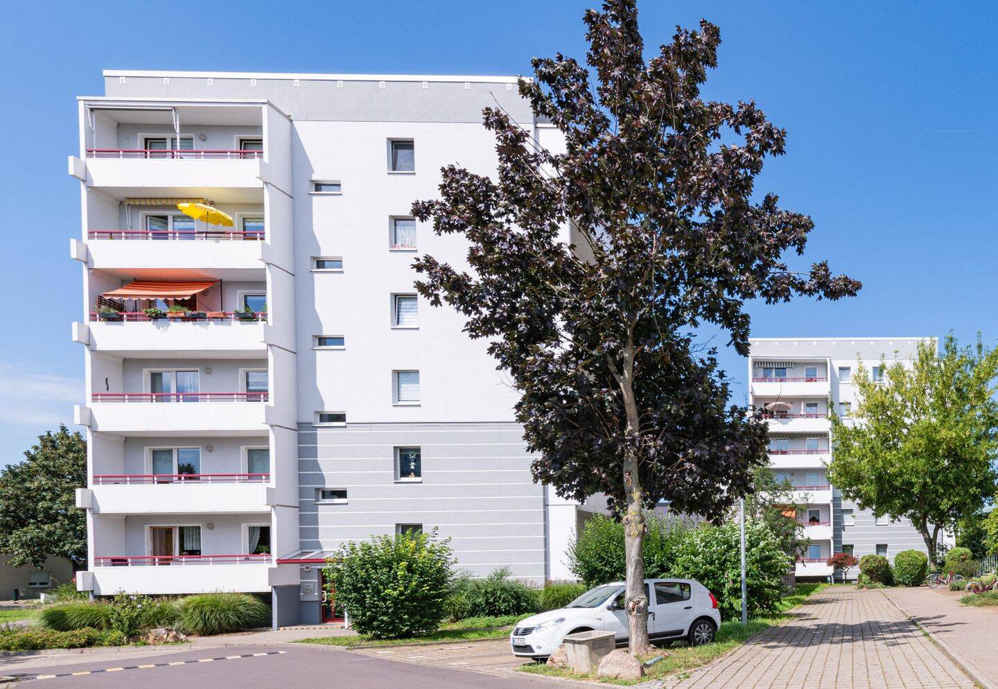 Für Senioren! – Magdeburg – Vorschaubild 3