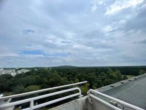 Exclusive 5-Zimmer Wohnung auf 200 m² mit großzügiger Terrasse, Einbauküche & Ankleidezimmer! – 14055 Berlin – Vorschaubild 6