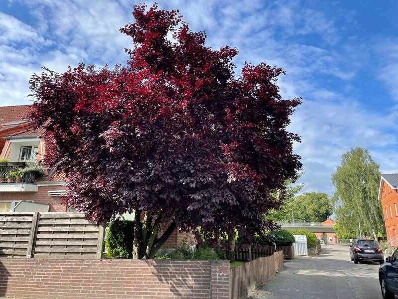 Gepflegte, vermietete Eigentumswohnung mit Terrasse und Tiefgaragenstellplatz (A3402) – Lübeck – Vorschaubild 3