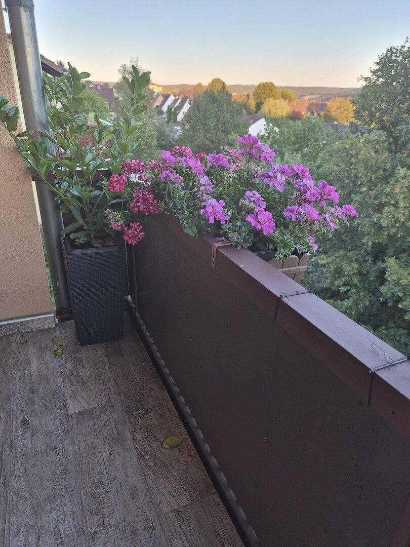Kapitalanlage mit Zukunft - modernisierte Wohnung mit Balkon, PV-Anlage & Rückmietung
