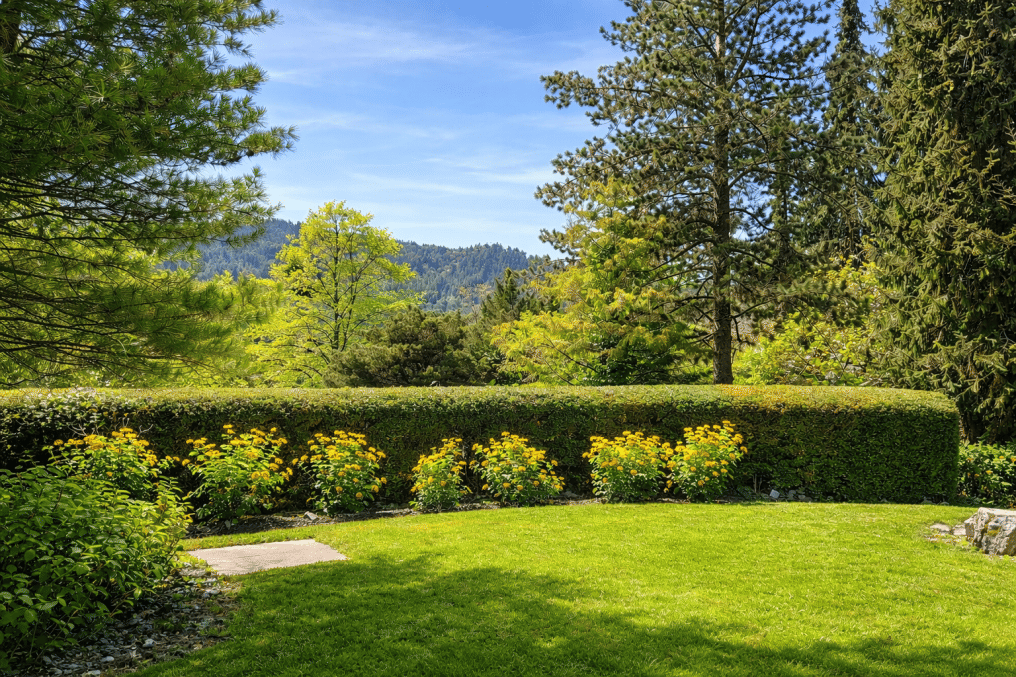 Panoramavilla in Bestlage von Baden-Baden