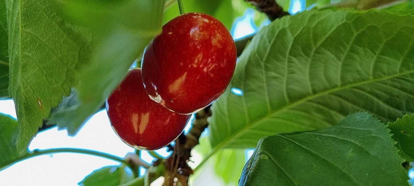 Die beste Chance für Familien - urgemütliches Haus mit Kamin – Pasewalk – Vorschaubild 3
