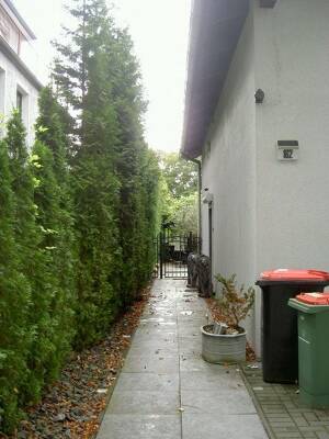 Echternach Immobilien: ... kleine Oase für Naturliebhaber! – 22115 Hamburg – Vorschaubild 3
