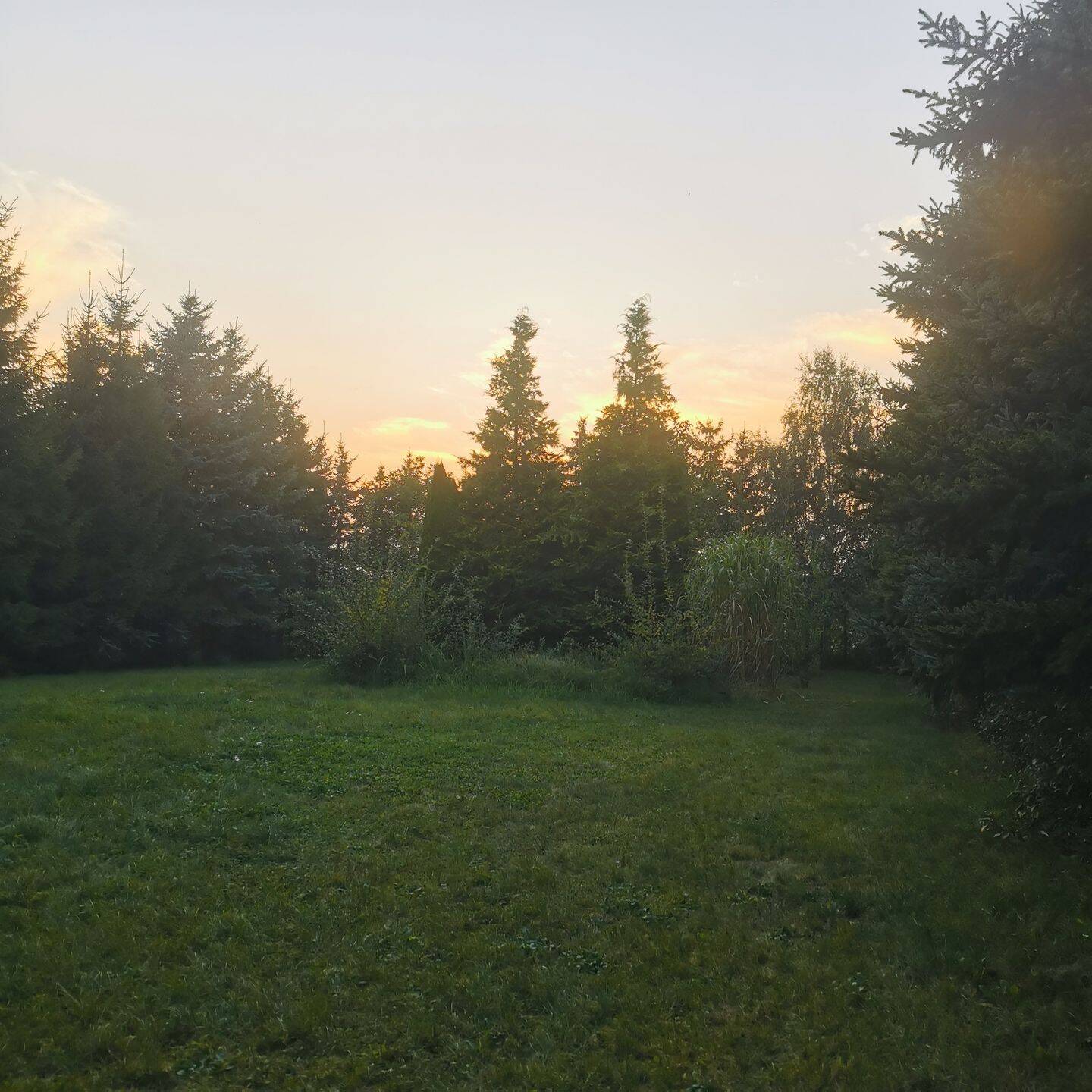Charmante DHH mit Sauna und großem Garten in ruhiger Lage bei Hohenzieritz