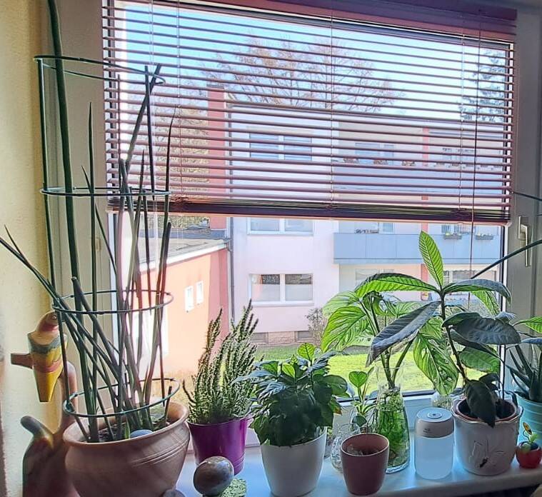 Provisionsfreies kleines Wohnglück in Bramfeld … 3-Zimmer Eigentumswohnung mit Loggia im 1. Obergeschoss – Hamburg – Vorschaubild 5