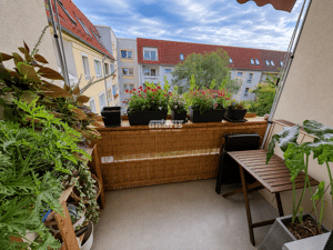antaris Immobilien GmbH ** Traumhafte 90m² Altstadtwohnung in Erfurt** – 99084 Erfurt – Vorschaubild 5