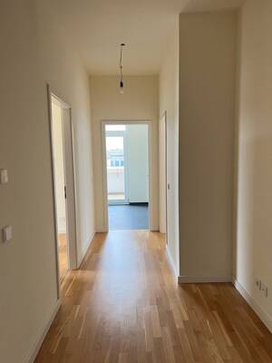 * große Terrasse und moderne 2 Zimmer-Wohnung mit herrlicher Terrasse in der Altstadt * – 1067 Dresden – Vorschaubild 7