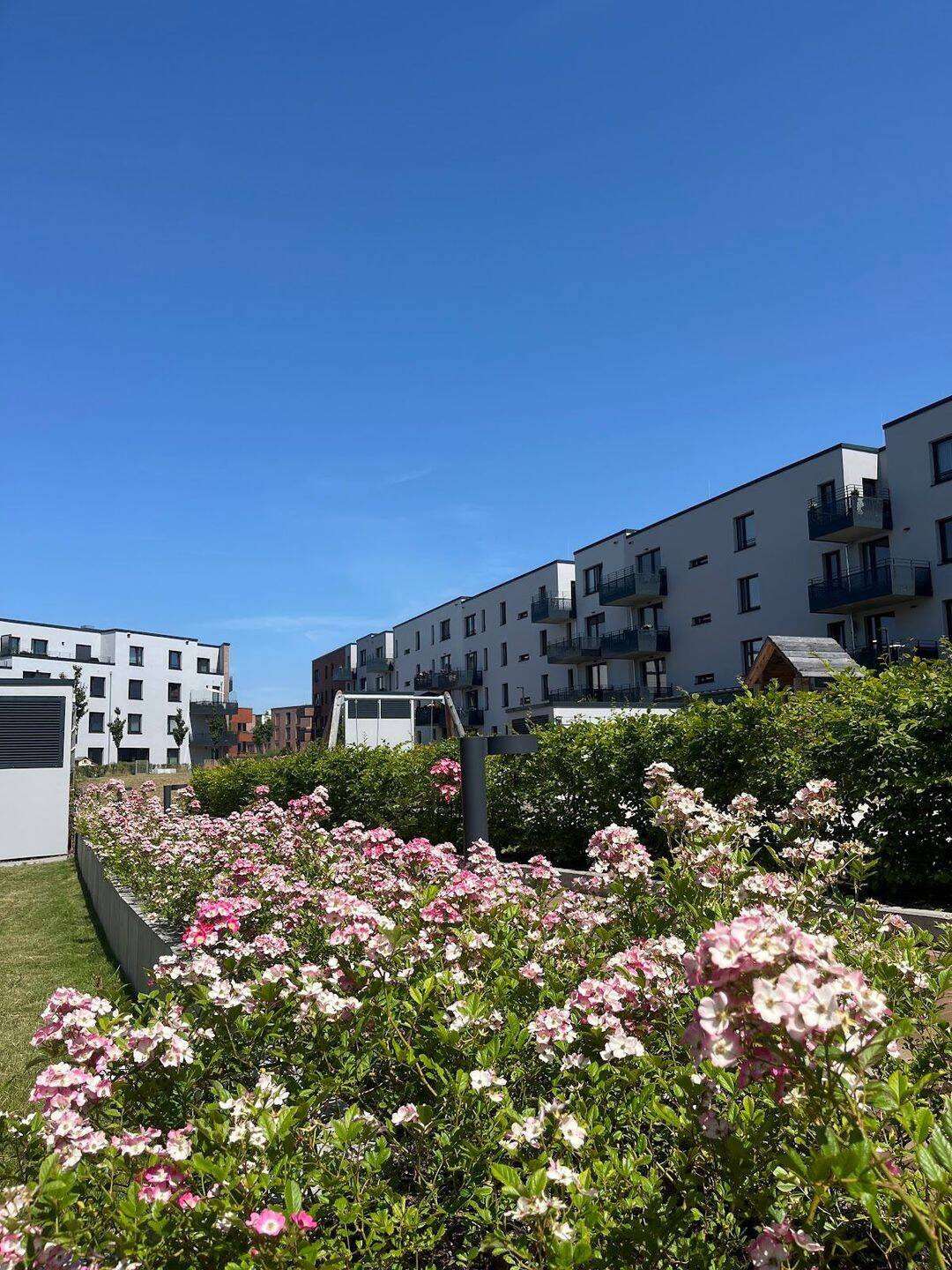 Schöne 2 Zimmer-Wohnung in Kronsrode sucht neue Mieter! – Hannover – Vorschaubild 2