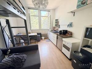 *** Kapitalanlage mit 2 Gebäuden und Gastrobereich - Zimmer vermietet an Studenten *** – 69124 Heidelberg – Vorschaubild 7