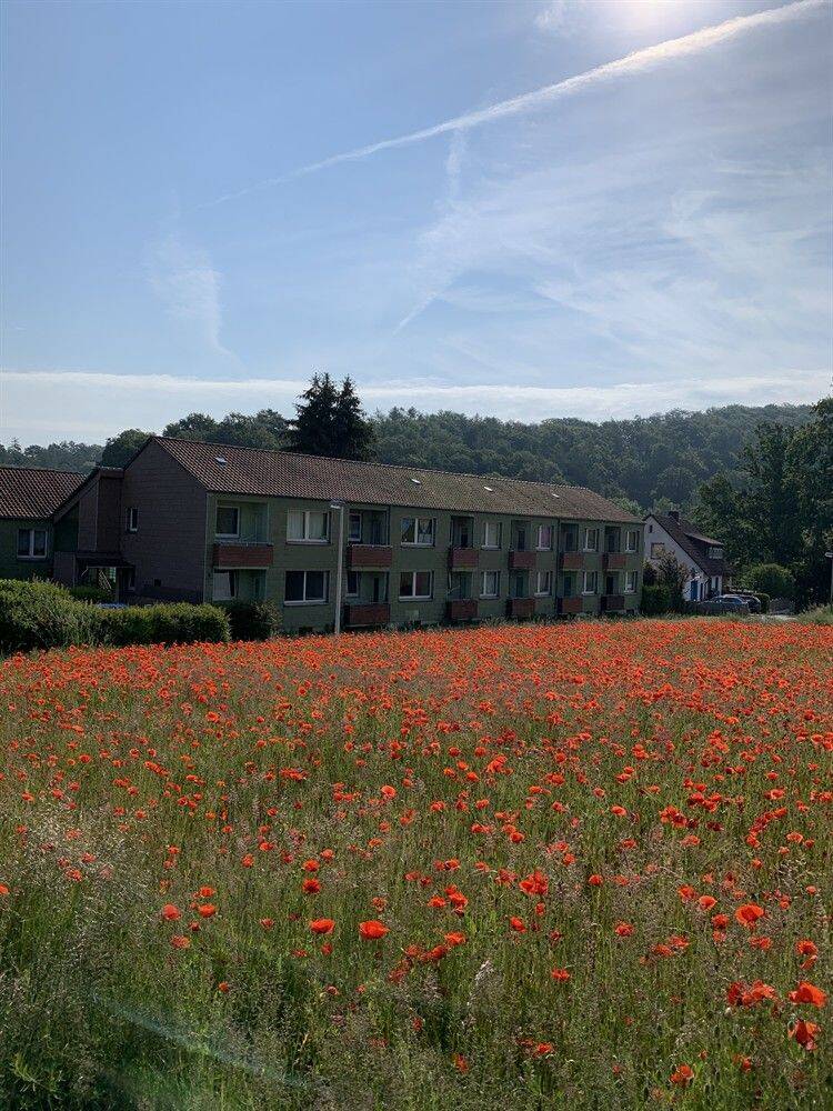 2-Zimmer-Wohnung