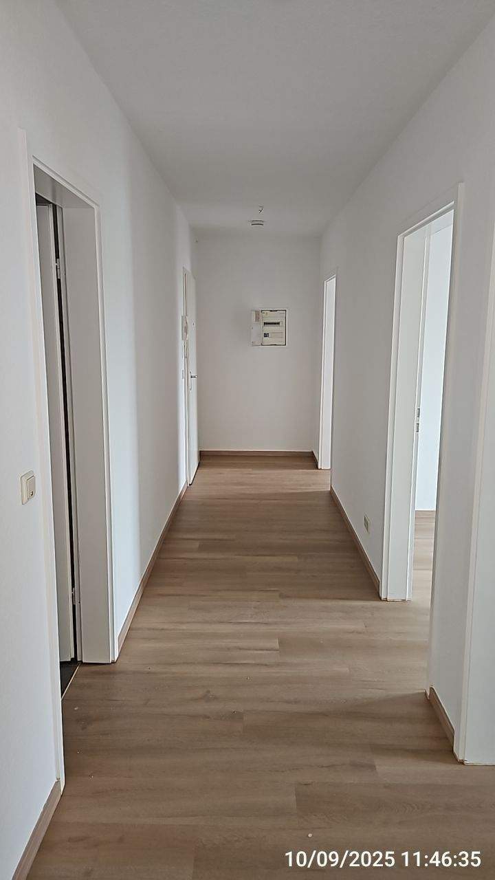 Neue Einbauküche in frisch renovierter und heller 3-Raum-Wohnung – Magdeburg – Vorschaubild 5