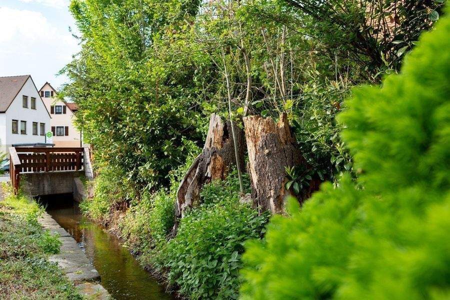 4-Zimmer I 105 qm Wfl. I Alles, was Familien lieben – nur ohne Treppensteigen I KFW 40 +QNG – Nürnberg – Vorschaubild 4