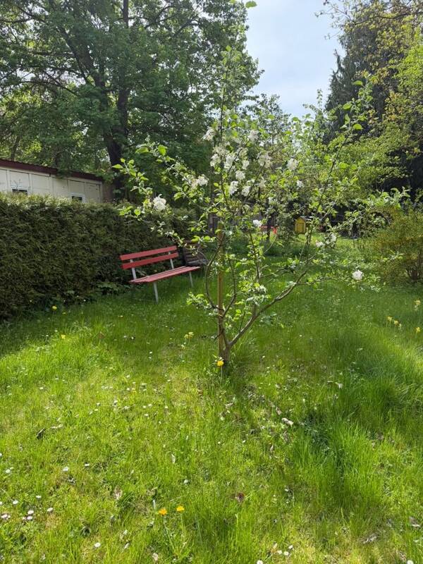 Mehrfamilienhaus in 98617 Meiningen mit 668,73 m² kaufen