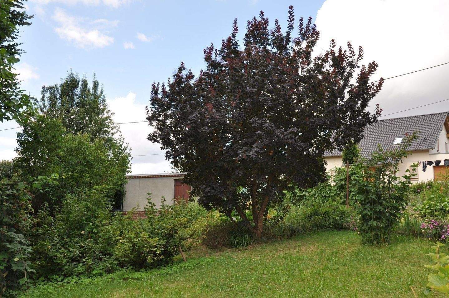 Einfamilienhaus in ruhiger Lage mit Seeblick – Geithain – Vorschaubild 4