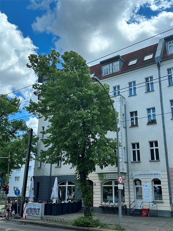 Nahe Schlosspark Niederschönhausen: Anlageobjekt mit Standortvorteil – Berlin – Vorschaubild 3