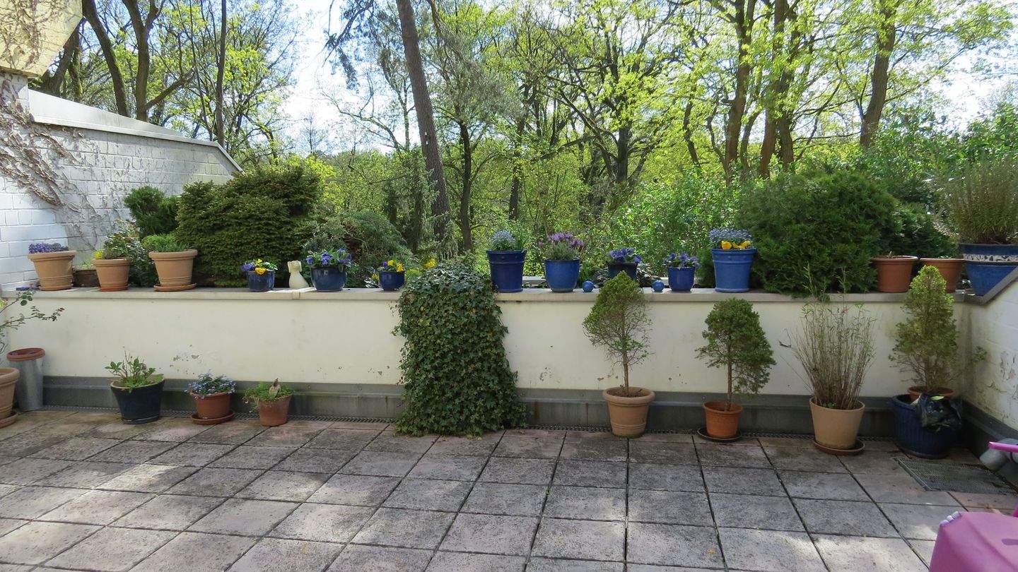 Berlin-Grunewald, beste Lage im EG aber(!) zur Waldseite 1.OG durch Hanglage mit großer Süd-Terrasse und herrlichem Blick in die Natur - Einzelgarage